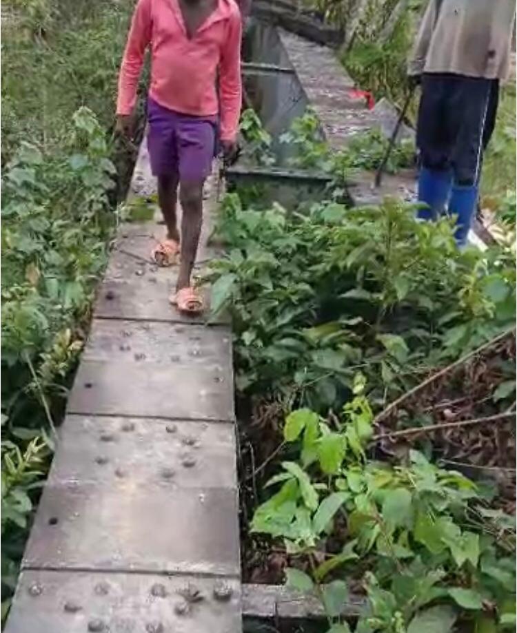 Farmers worried over sale and destruction of Anuruso railway bridge 