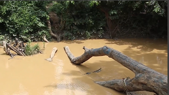 Eastern Regional Minister pledges bridge for Asuokaw residents following viral video