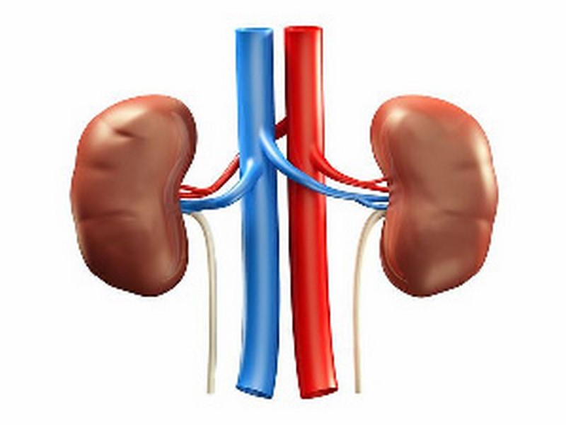 Why Most Causes Of Kidney Disease In Ghana Are Unknown - Adomonline.com