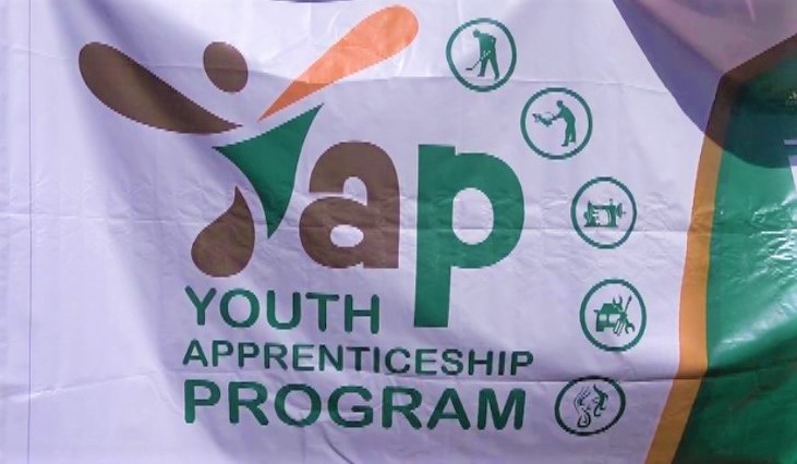 SinapiAba Youth Apprenticeship Program