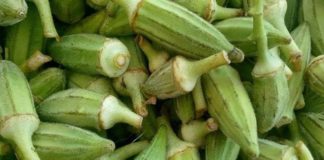 okro