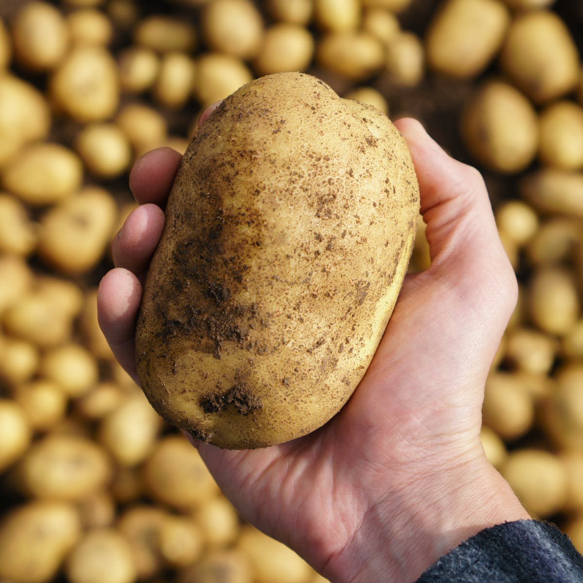 health-benefits-of-irish-potatoes