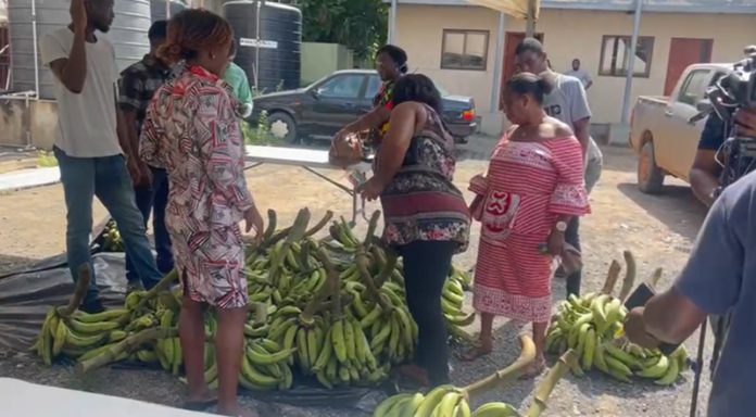 MOFA foodstuffs market