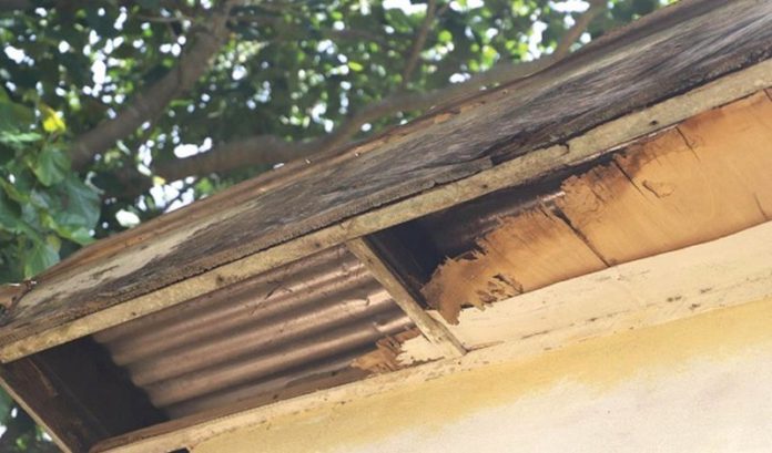 Portions of the ceiling destroyed, making it accessible to the predators