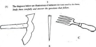 Ambiguous diagram for BECE Integrated Science Examination