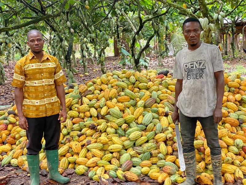 Meet the 40-year-old cocoa farmer with 101 acres of cocoa plantation... The cocoa farmer in African print