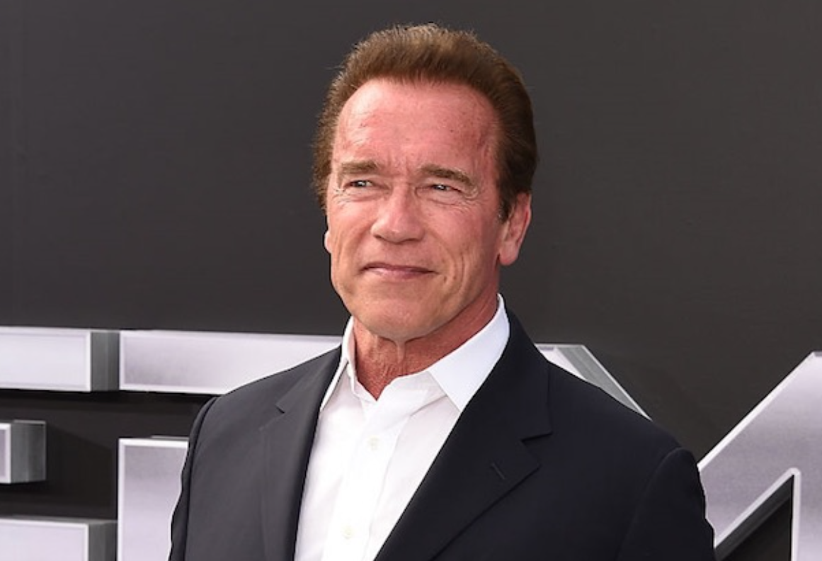 Arnold Schwarzenegger: I’d Be A Great Us President - Adomonline.com