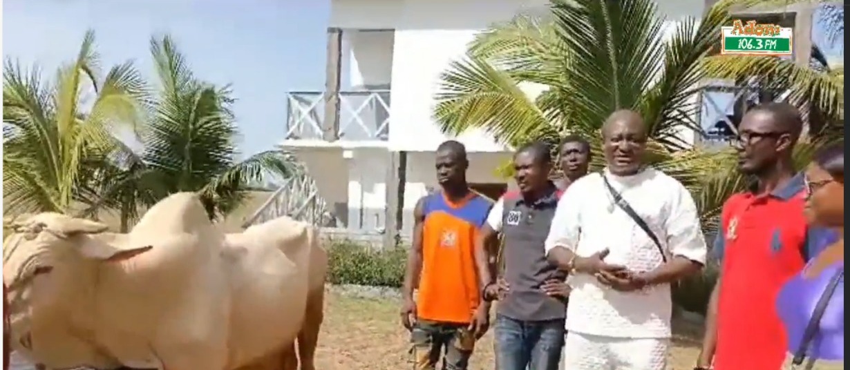 Gomoa Fetteh Omankrado supports Adom TV 'Fufuo' party with cow [Video ...