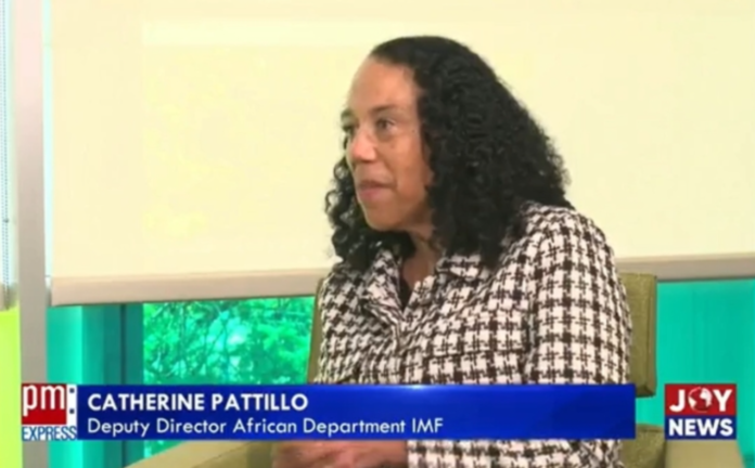 Deputy Director of the Africa Department at the International Monetary Fund (IMF), Catherine Pattilo