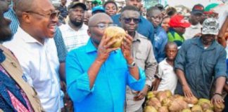 Dr Bawumia drinking coconut water