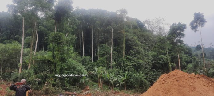 Portion of the Bosomtwe Range Forest Reserve destroyed through illegal mining operations