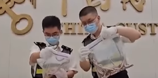 Man in China caught smuggling 100 live snakes in his trousers