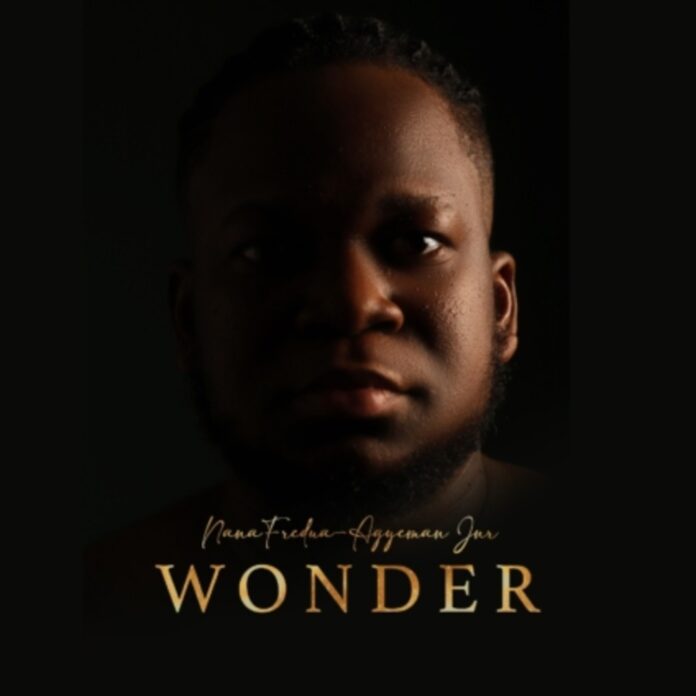 Nana Fredua-Agyeman Jnr. submits ‘Wonder’ for Grammy consideration