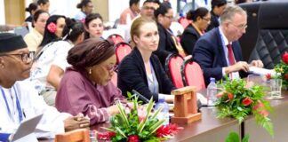 Ayorkor Botchwey meets Pacific leaders, addresses forum in Tonga