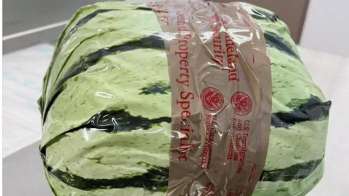 CBP | The drugs were concealed in coloured wrapping to resemble watermelons