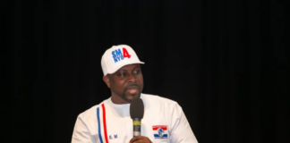 NPP National Youth Organiser, Salam Mustapha.