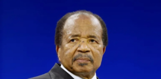 Paul Biya, the 89-year-old president of Cameroon, has been in power since 1982 [File: Charles Platiau/Reuters]