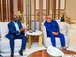 Former Vice President Dr. Mahamudu Bawumia and UN Resident Coordinator in Ghana, Charles Abani during their meeting