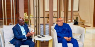 Former Vice President Dr. Mahamudu Bawumia and UN Resident Coordinator in Ghana, Charles Abani during their meeting