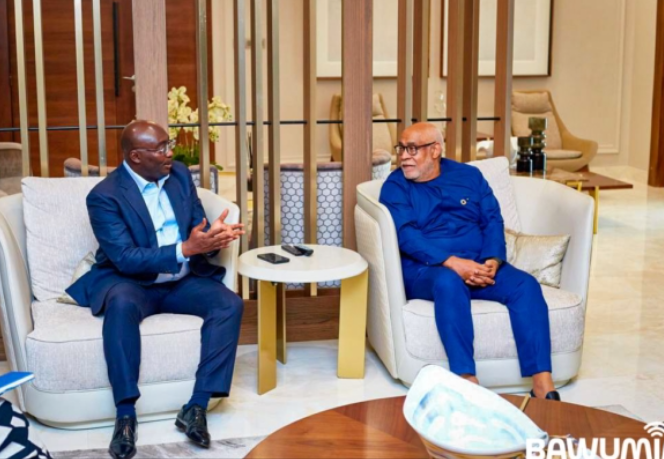 Former Vice President Dr. Mahamudu Bawumia and UN Resident Coordinator in Ghana, Charles Abani during their meeting