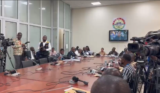 Vetting Chaos Committee holds first public hearing on Appointments Committee Disturbances