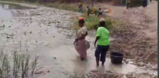 Gulumpe residents forced to share water with livestock